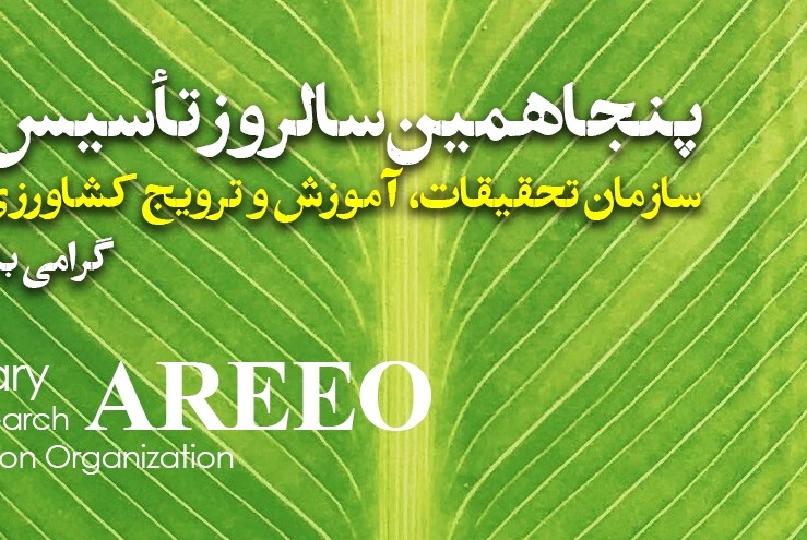 ویدئو